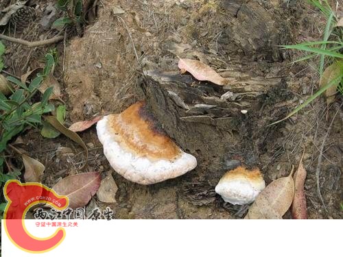 20080821_801b4a2efce6d76a8cf1dBi79KETYiUH.jpg 20080821_801b4a2efce6d76a8cf1dBi79KETYiUH.jpg