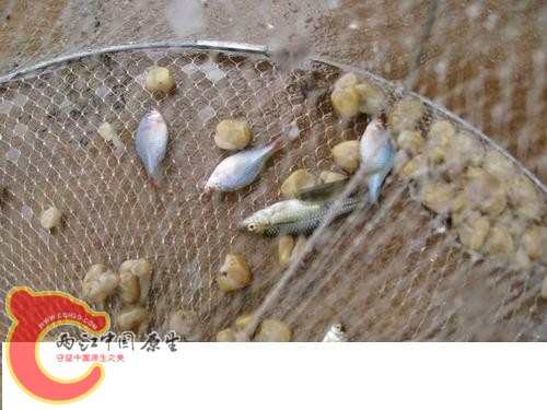 20080821_37ecb71eaa388eee47adtL0qNQBzaSyO.jpg 20080821_37ecb71eaa388eee47adtL0qNQBzaSyO.jpg