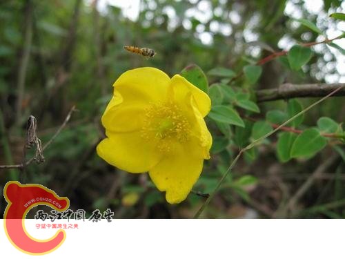 20080821_f22be1e2afafbba9c259tWARW4vaA4zm.jpg 20080821_f22be1e2afafbba9c259tWARW4vaA4zm.jpg