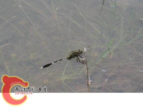 20080821_07829d7d624d6be40a7fBqrLNVtBk9sU.jpg 20080821_07829d7d624d6be40a7fBqrLNVtBk9sU.jpg