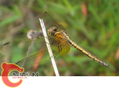 20080821_221f3cefc7913f245d33JBfICbm19kUR.jpg 20080821_221f3cefc7913f245d33JBfICbm19kUR.jpg