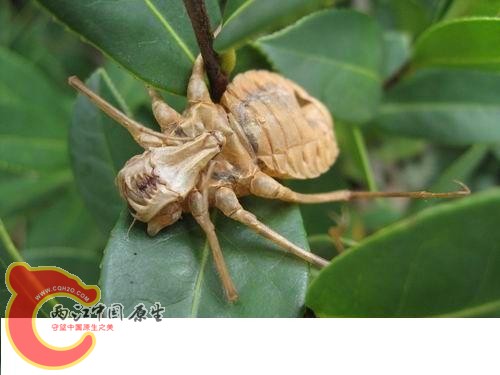 20080821_af5be2d3e8570b32b26fBKgk24EBLyCA.jpg 20080821_af5be2d3e8570b32b26fBKgk24EBLyCA.jpg