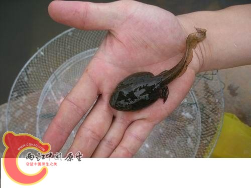 20080821_7a588aff7b661c796fb4ew4rQ6xngphm.jpg 20080821_7a588aff7b661c796fb4ew4rQ6xngphm.jpg