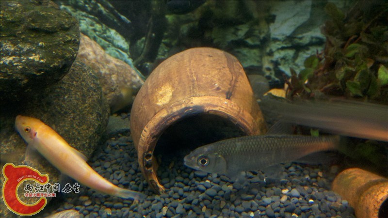 2010-12-29_20-03-32_856.jpg