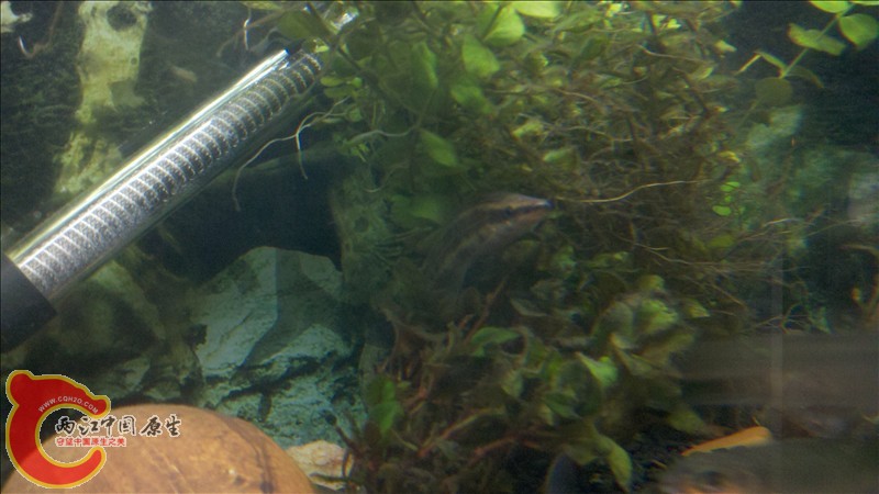2010-12-29_20-03-43_199.jpg