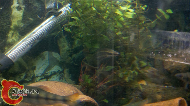 2010-12-29_20-01-40_797.jpg