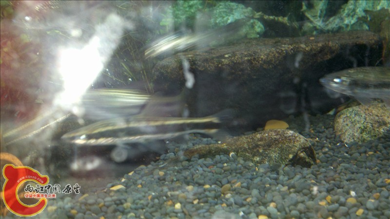 2010-12-29_19-57-48_215.jpg