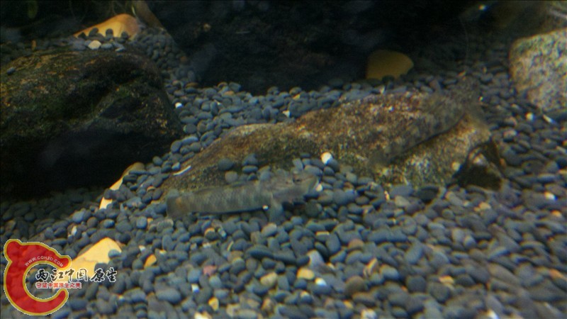 2010-12-29_20-04-54_920.jpg