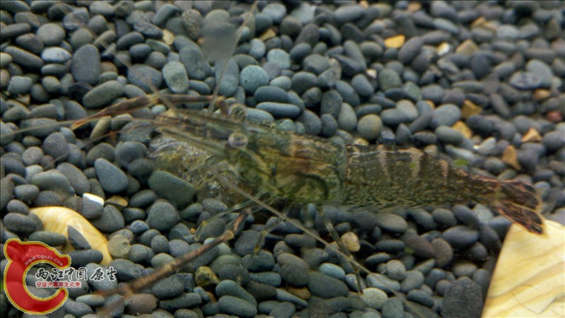 2010-12-29_20-02-07_138.jpg