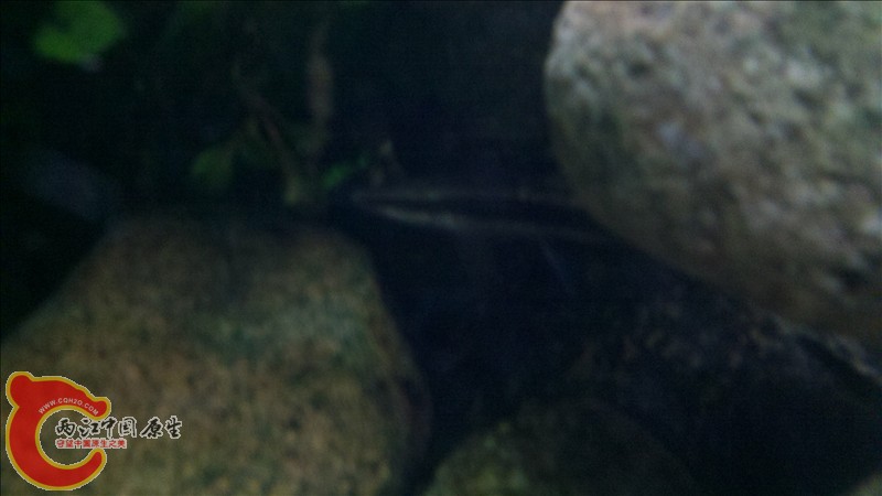 2010-12-29_20-02-28_159.jpg
