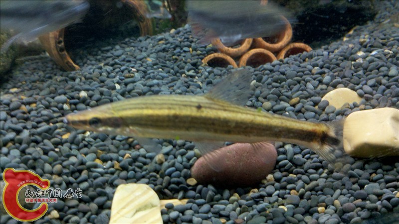 2010-12-29_19-57-35_401.jpg