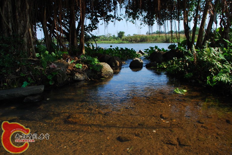 路边泉水.jpg