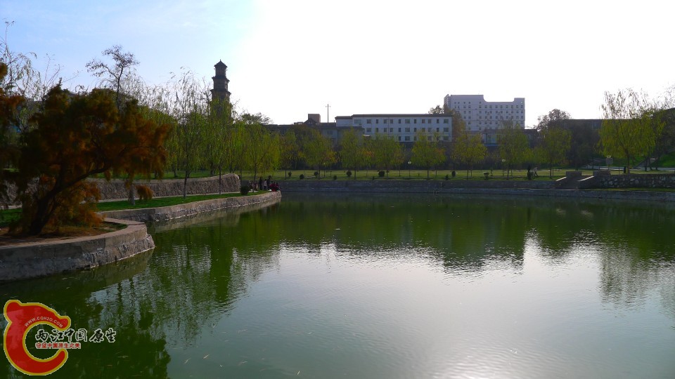 conew_p1000190.jpg