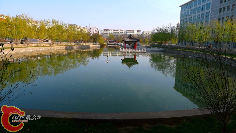 conew_p1000194.jpg