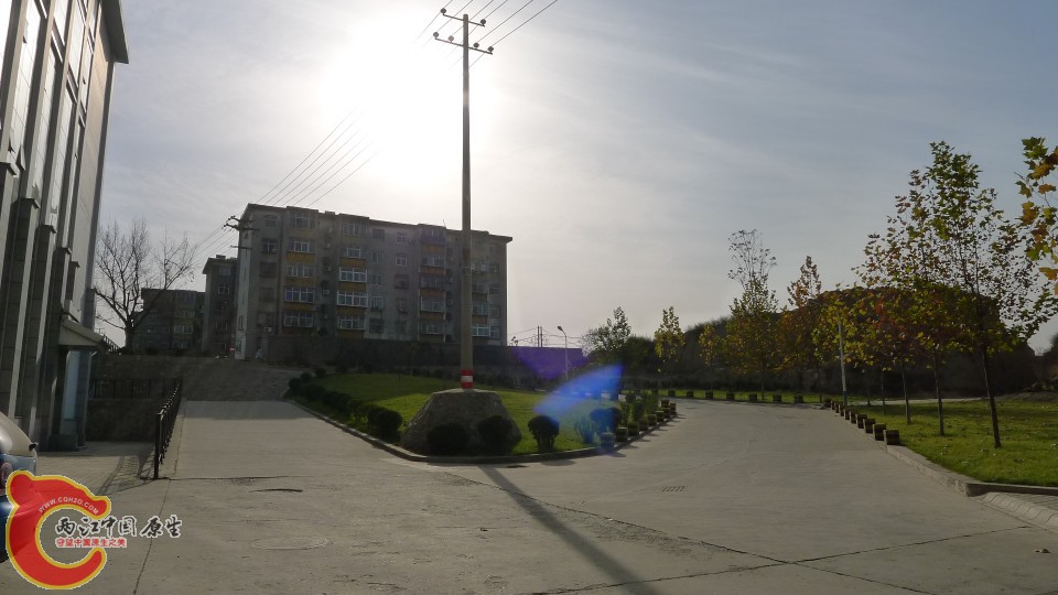 conew_p1000198.jpg