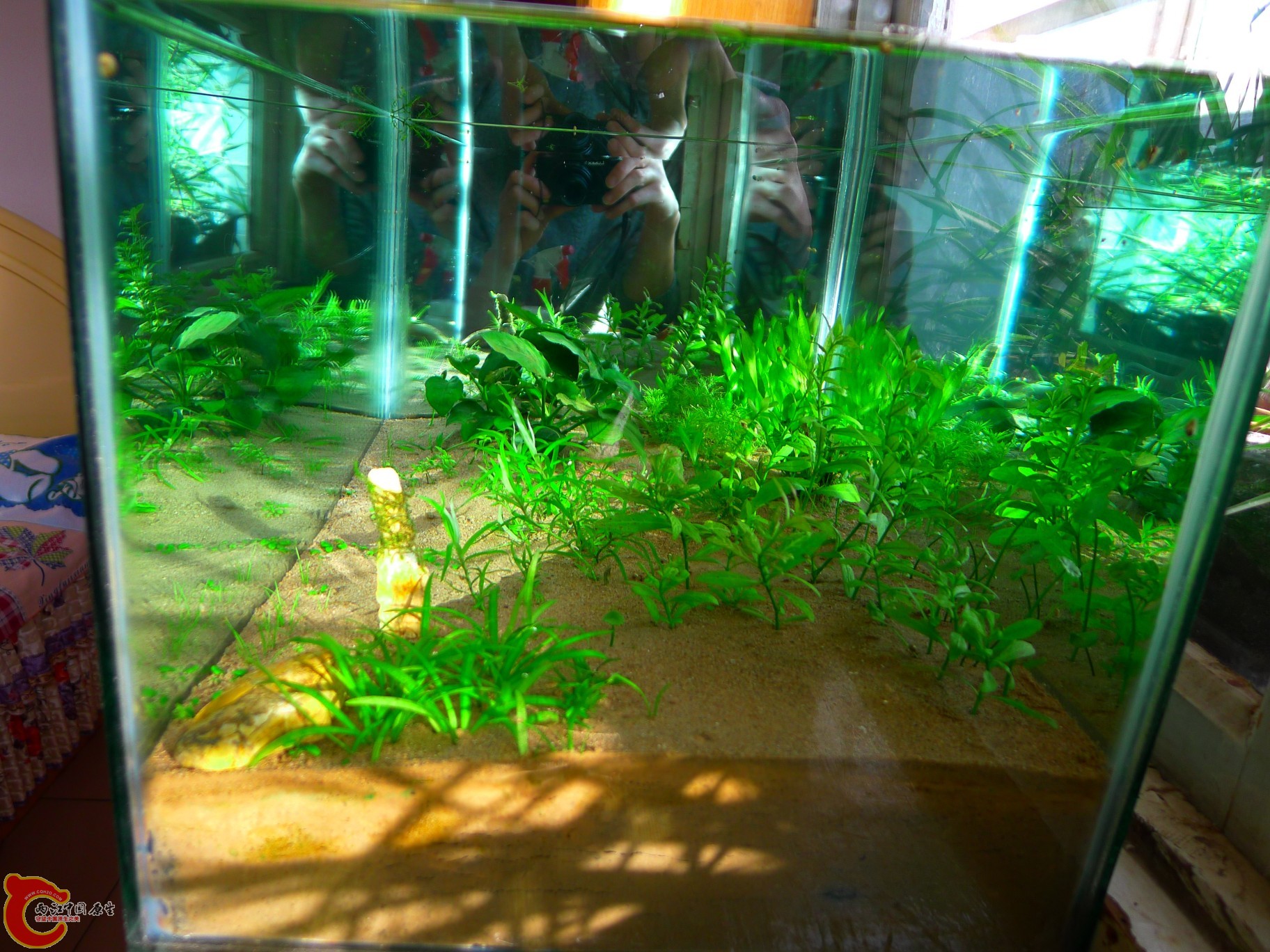 conew_p1000205.jpg