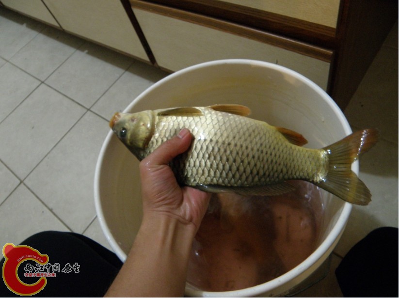 QQ截图未命名29.jpg