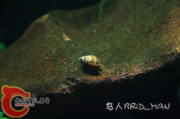 IMG_3789.JPG