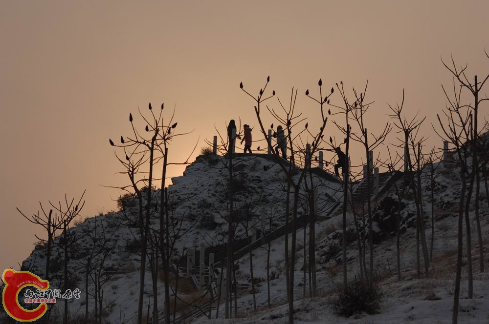 DSC_1134.jpg