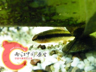 DSCF5441.JPG