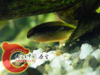 DSCF5440.JPG