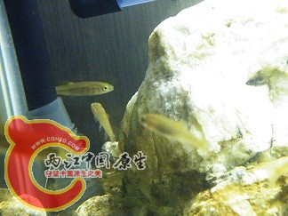 DSCF5434.JPG