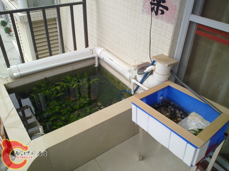 阳台鱼池全景2_调整大小.jpg