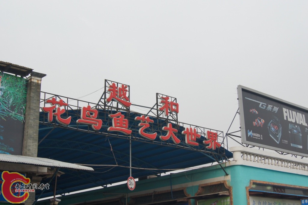 DSC06572.JPG