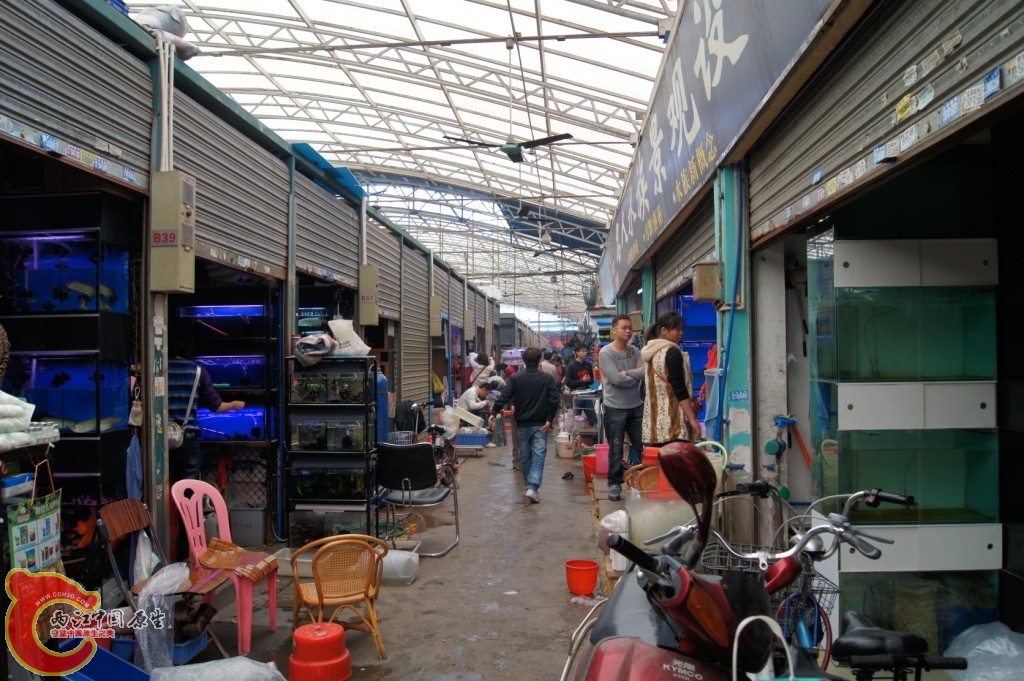 DSC06584.JPG