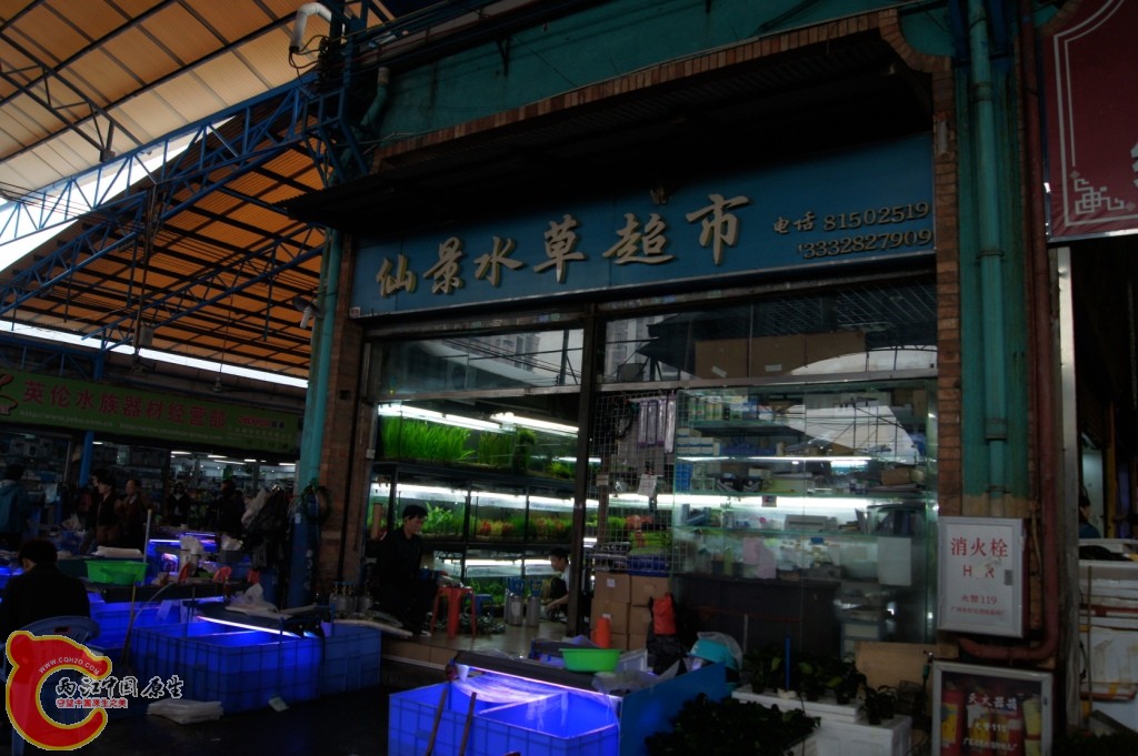 DSC06617.JPG