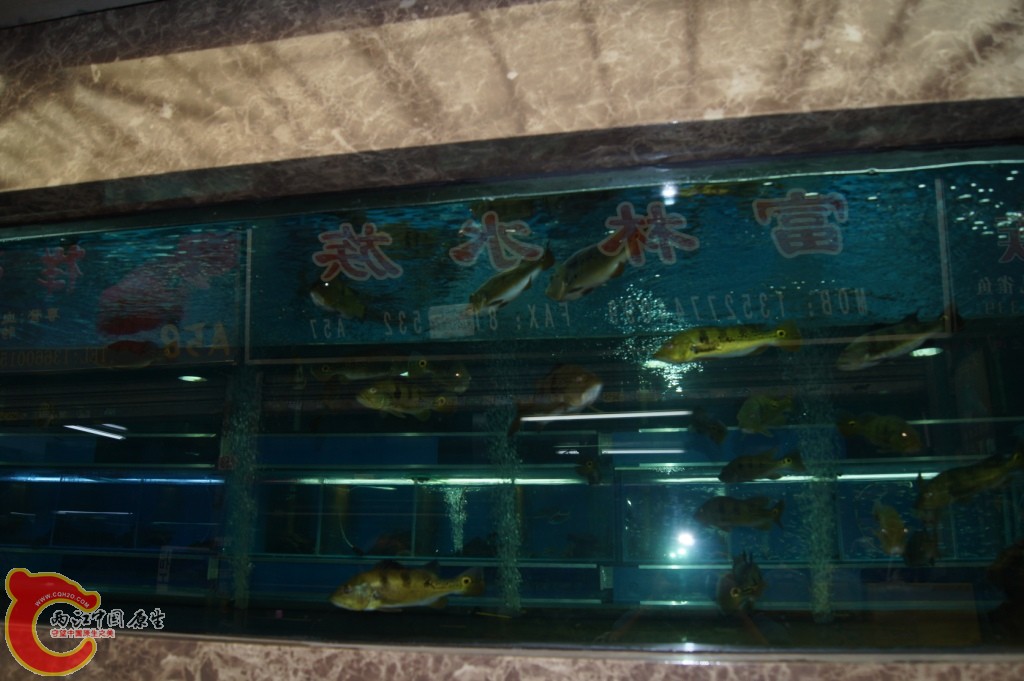 DSC06682.JPG