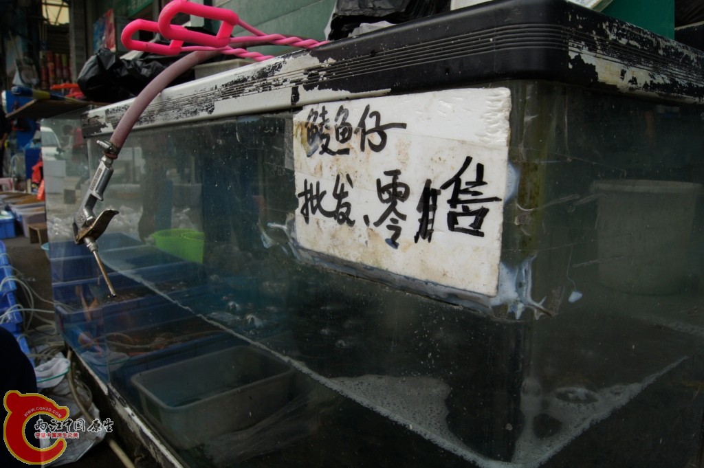 DSC06686.JPG