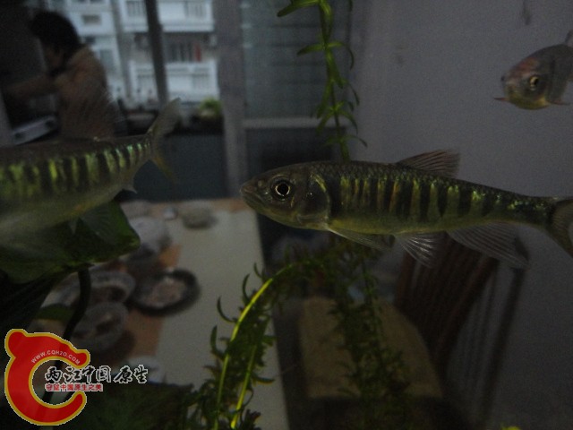 DSC00262.JPG
