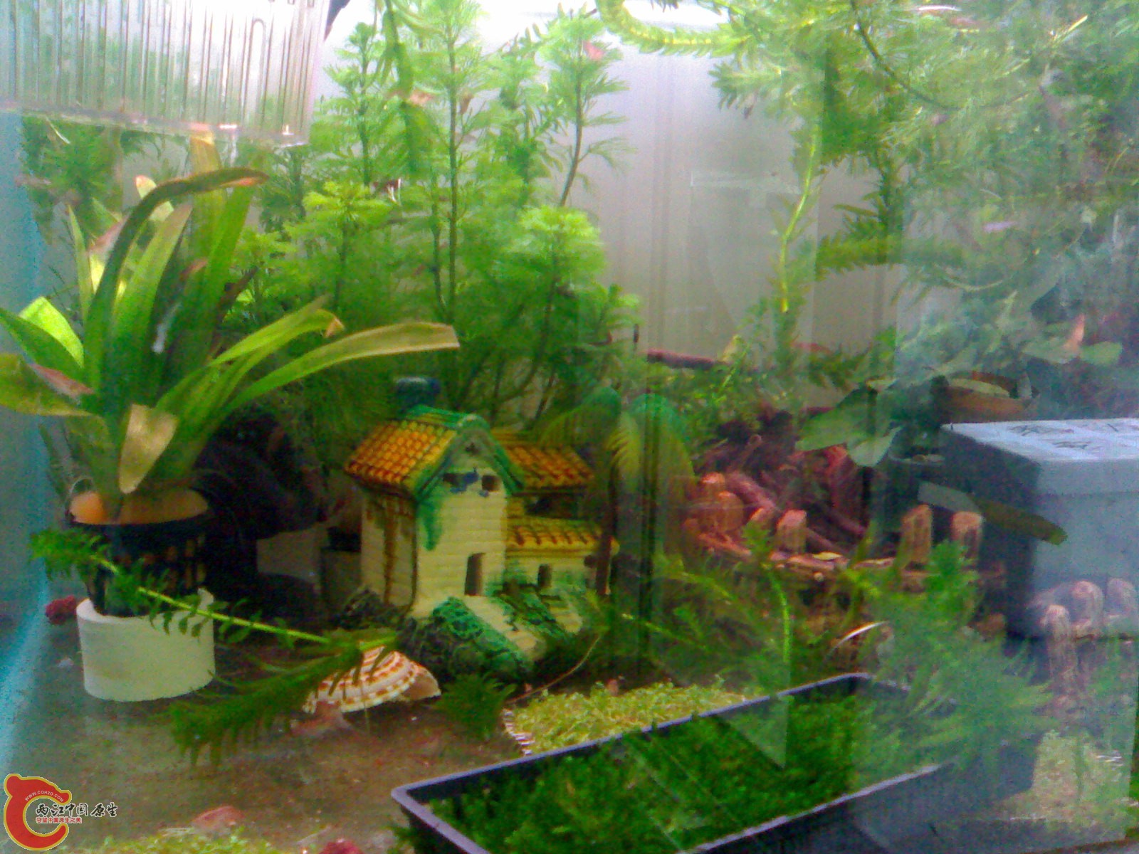 201101151764.jpg