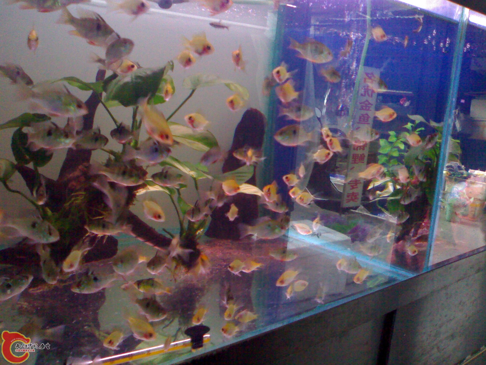 201101151769.jpg