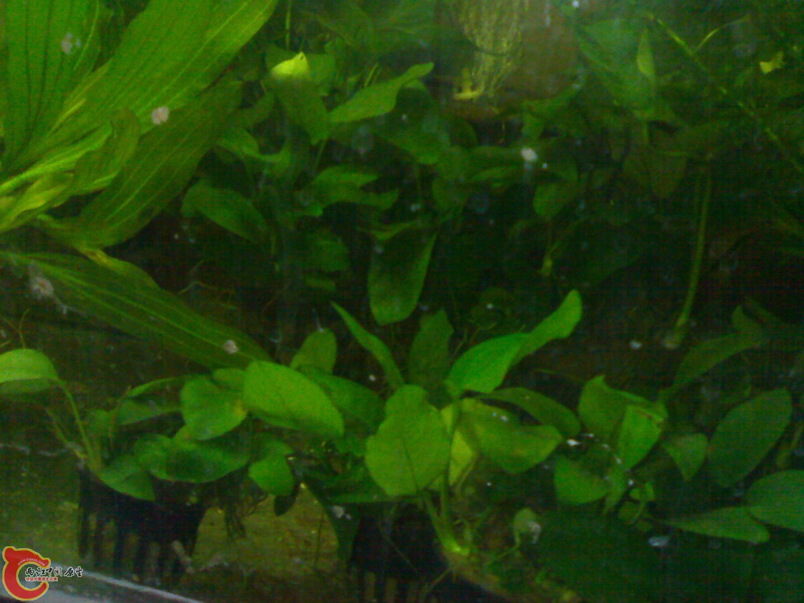 201101151774.jpg