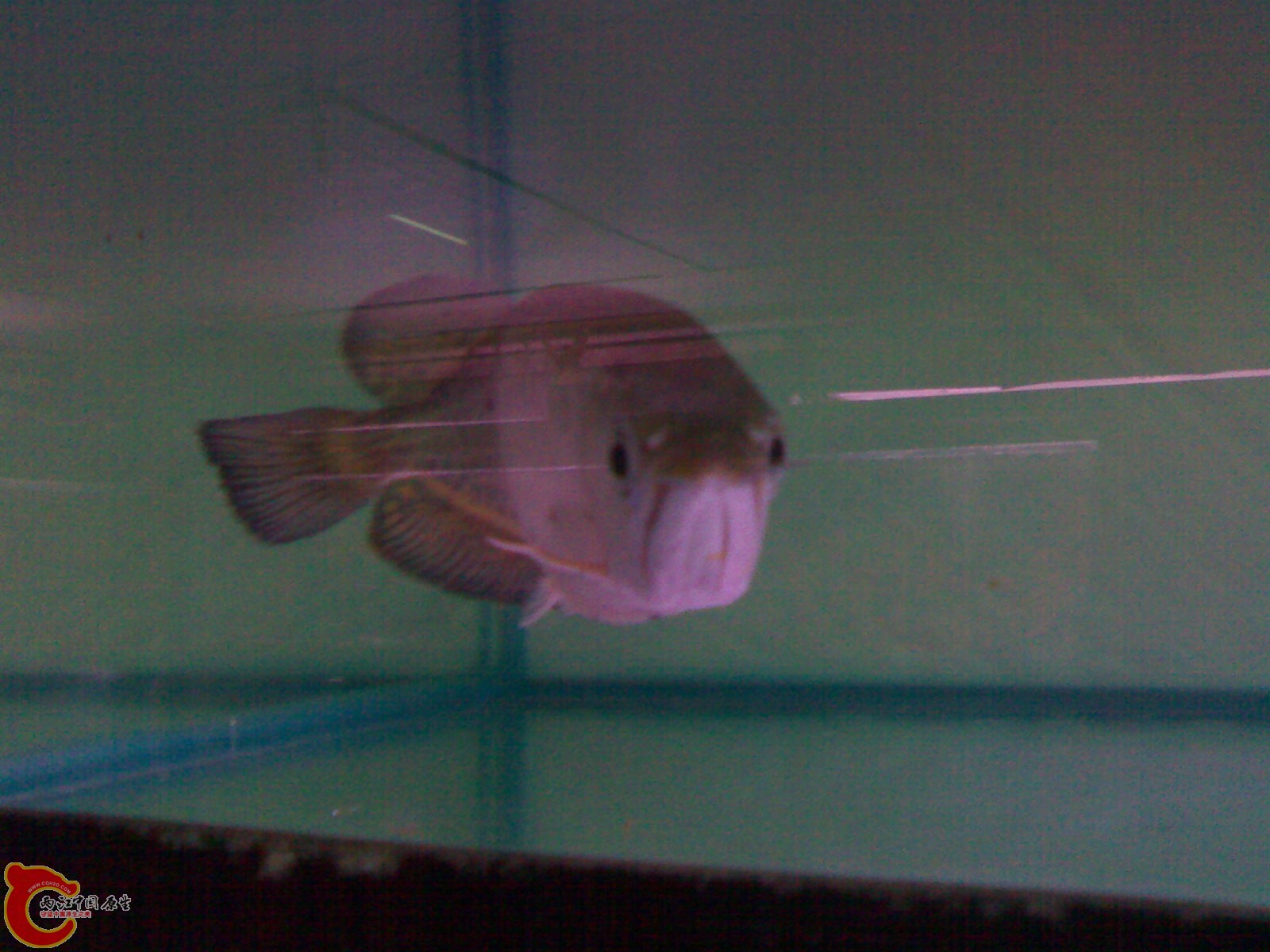 201101151777.jpg