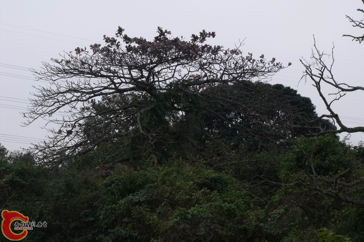 DSCF1090.JPG