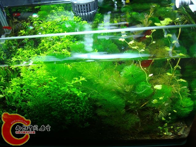 nEO_IMG_DSC03443.jpg