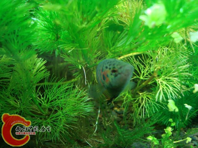 nEO_IMG_DSC03406.jpg