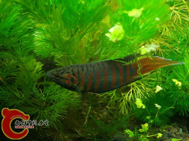 nEO_IMG_DSC03428.jpg
