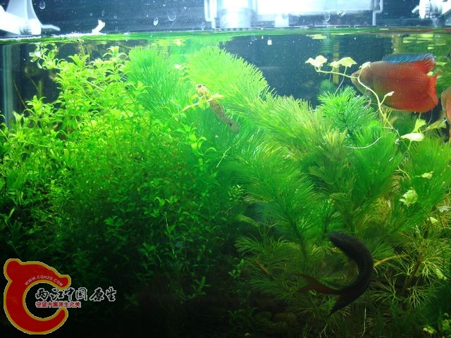 nEO_IMG_DSC03432.jpg