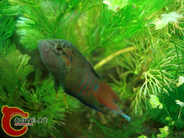 nEO_IMG_DSC03410.jpg