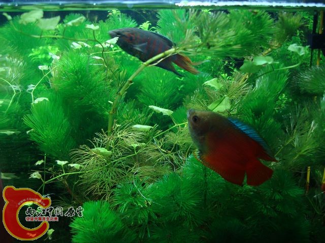 nEO_IMG_DSC03389.jpg