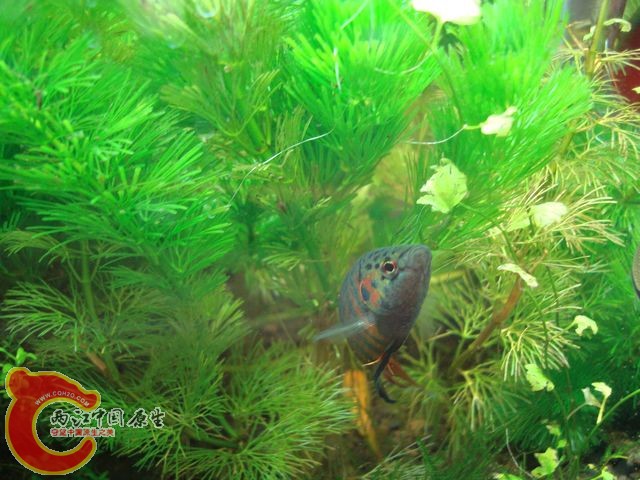 nEO_IMG_DSC03394.jpg