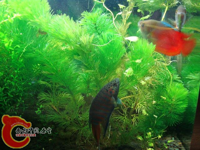 nEO_IMG_DSC03431.jpg