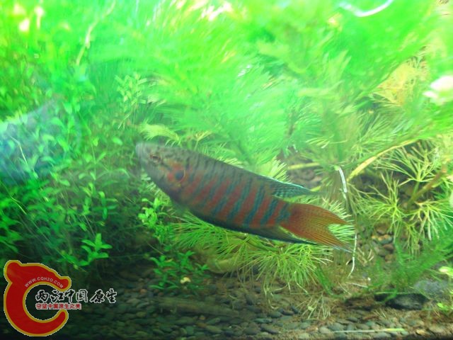 nEO_IMG_DSC03412.jpg