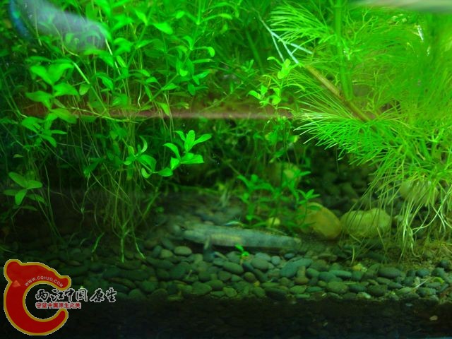 nEO_IMG_DSC03384.jpg