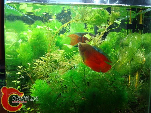 nEO_IMG_DSC03391.jpg