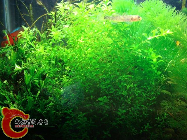 nEO_IMG_DSC03419.jpg